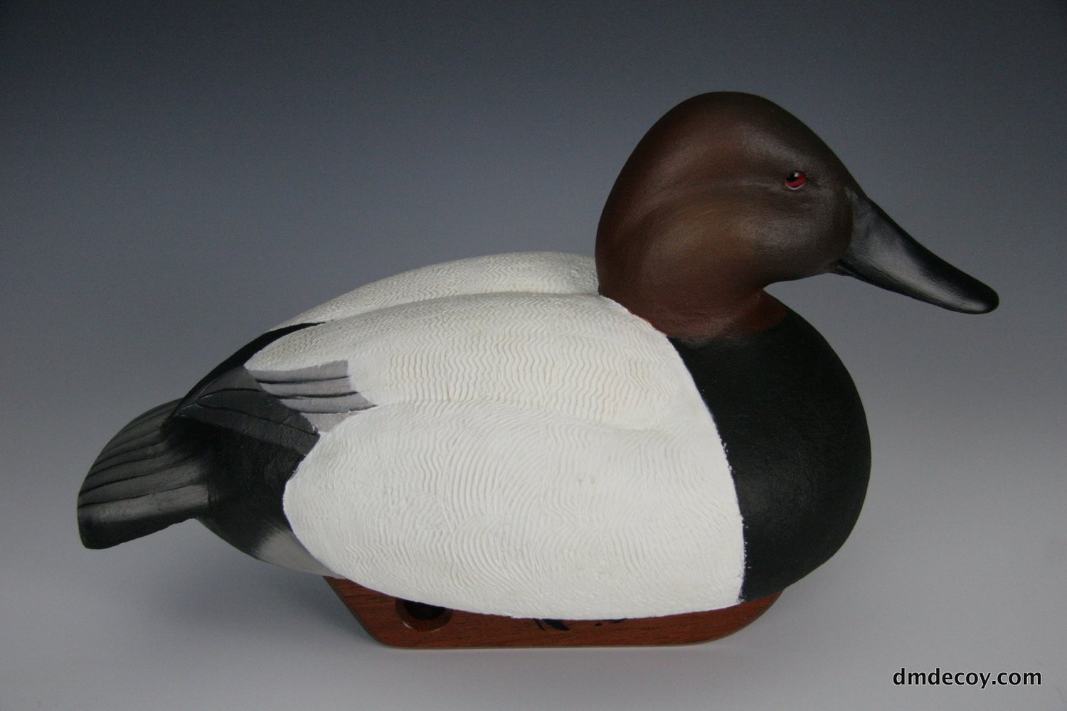 Canvasback decoy