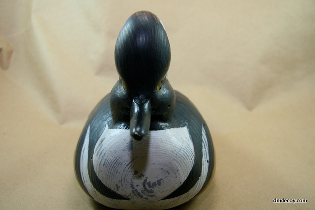 Simulated-antique merganser, front