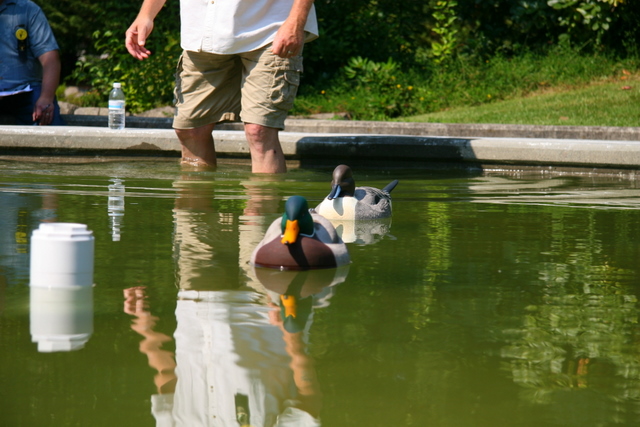 Judging at the 2011 Columbia Flyway show