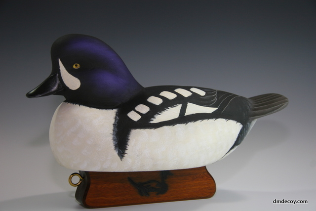 Barrow's Goldeneye decoy