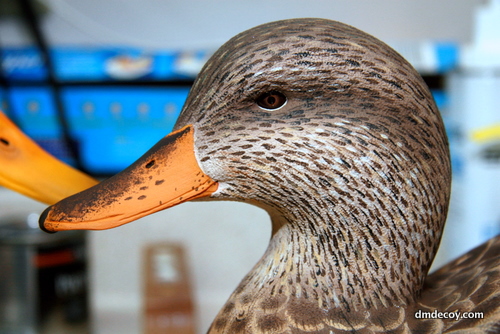 Contemporary style hen mallard, head detail