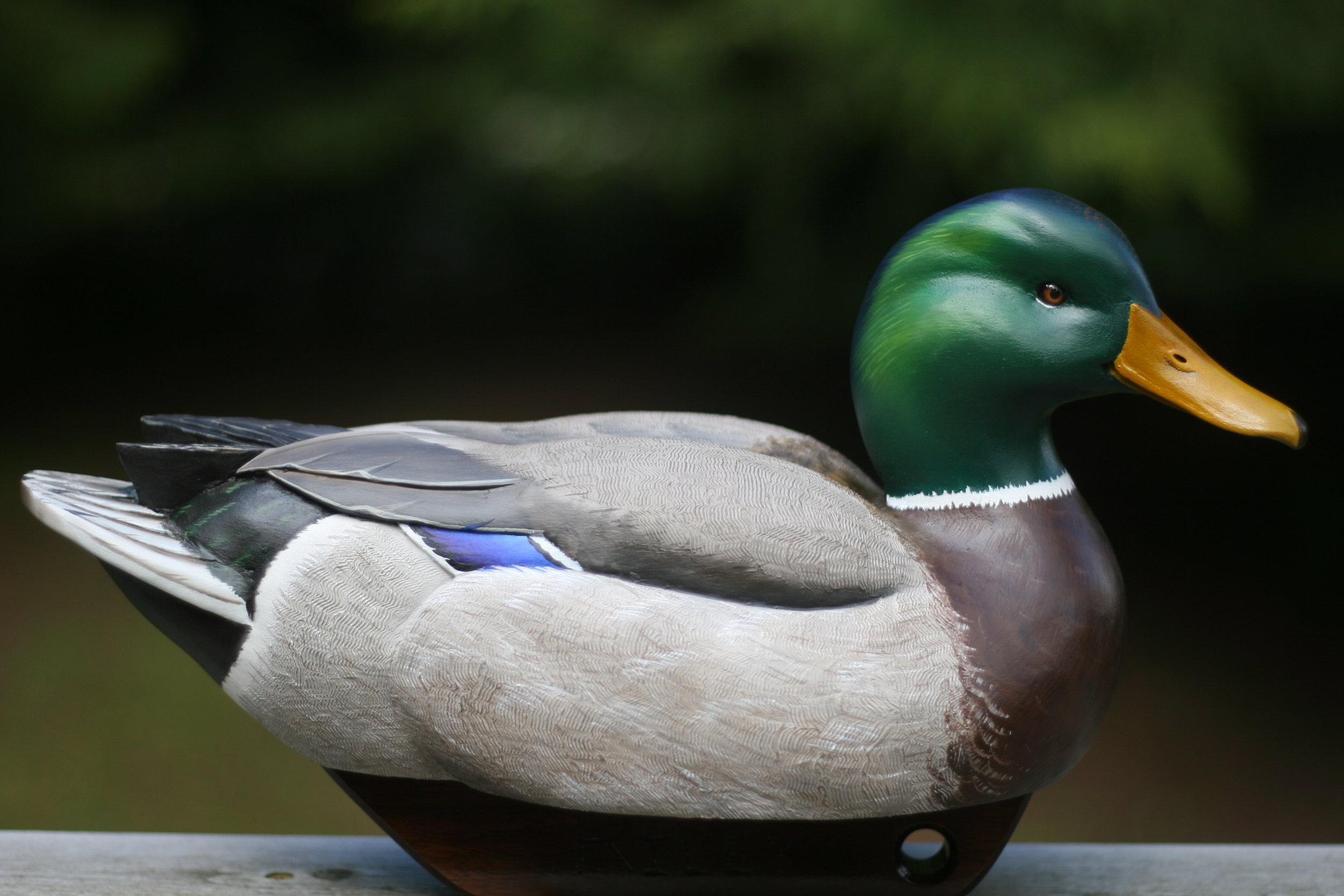 Contemporary mallard drake, sugar pine body and basswood head