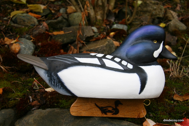 Barrow's Goldeneye decoy in oil paint