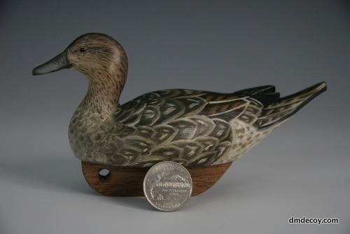 Miniature pintail hen with a quarter for scale