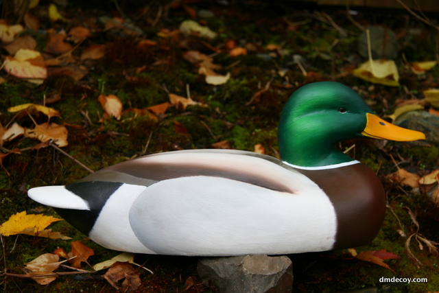 Some decoys in oil paint
