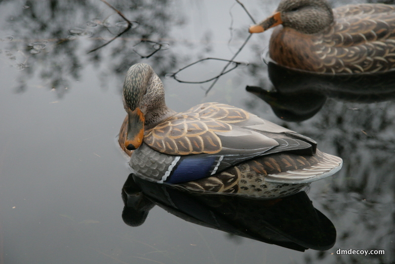 Mallard decoy