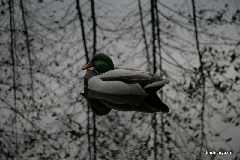 Mallard decoy
