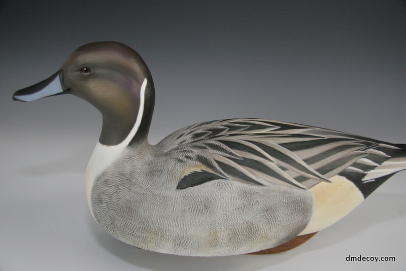 Pintail decoy