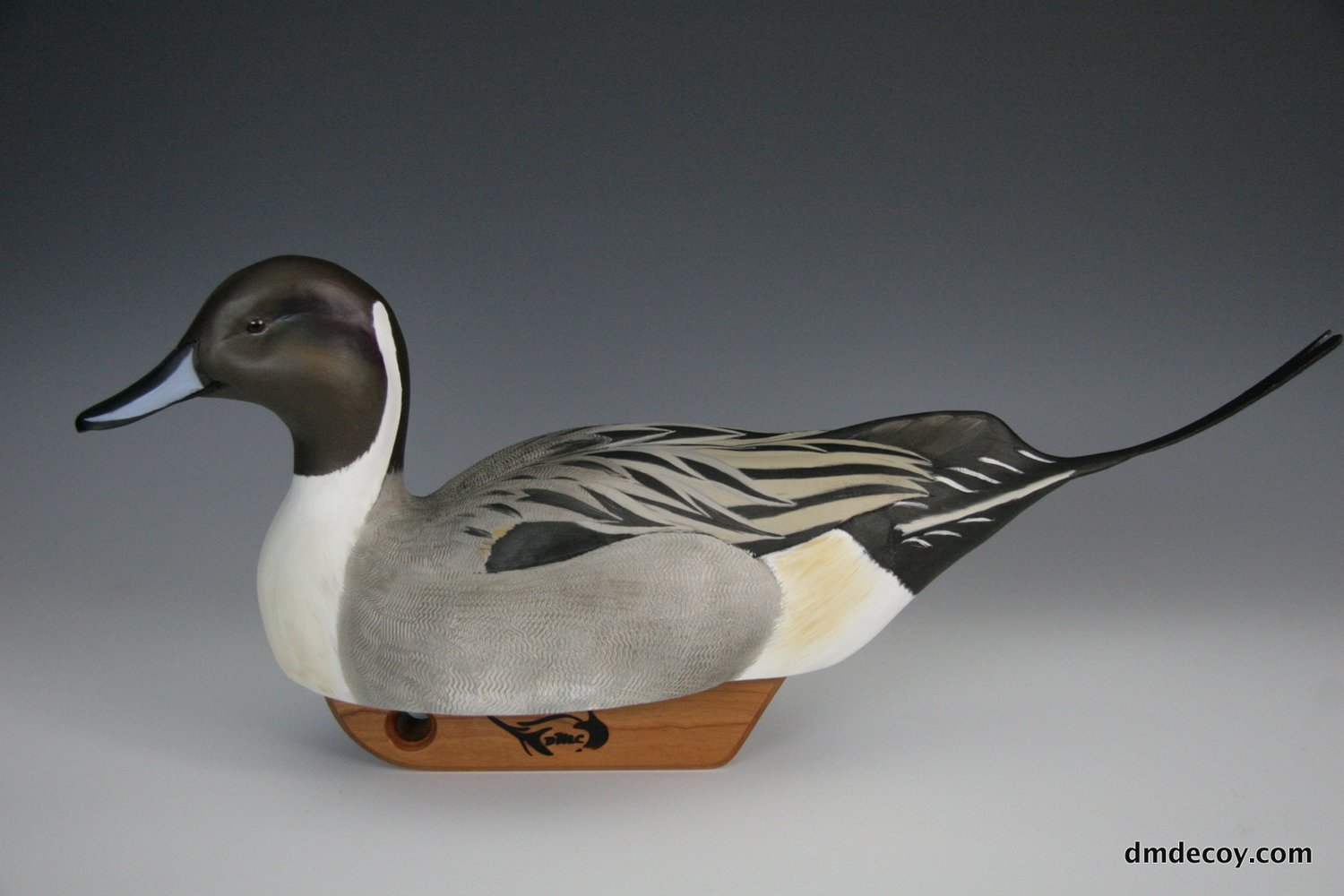 Pintail decoy