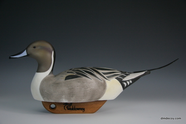 Pintail decoy