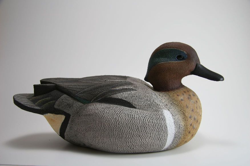 Green-winged teal